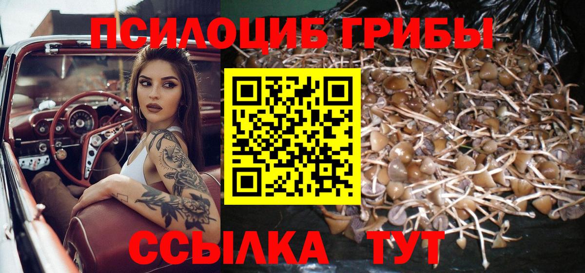 Псилоцибиновые грибы Psilocybine cubensis  Галлюциногенные грибы ЛСД  Новодвинск  Вход с VPN 